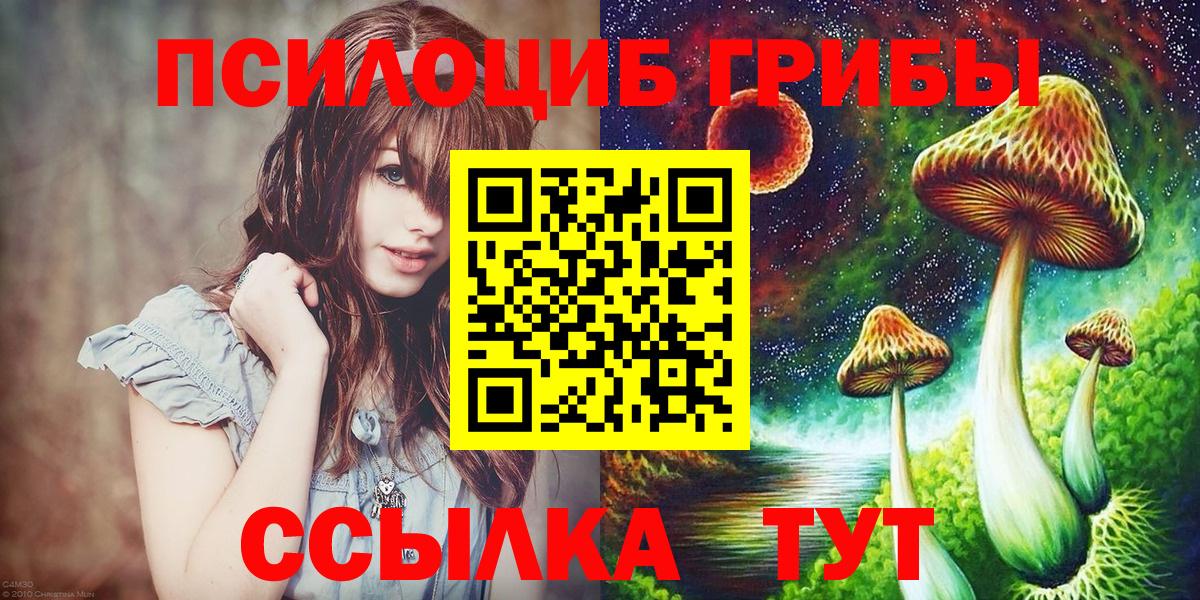 Подольск  Галлюциногенные грибы Magic Shrooms  Галлюциногенные грибы Psilocybe  Вход с VPN 