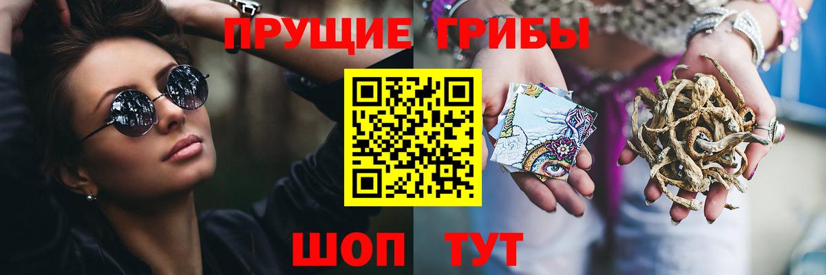 Галлюциногенные грибы Psilocybe Подольск